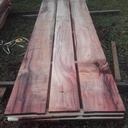 La nature fait bien les choses