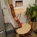 Arbre à Chat v3