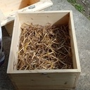 "Marmite norvégienne" ou "Caisse à foin"