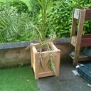 Salon de jardin-2eme partie: les cache pots