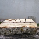 Le monstre du Loch Moelle