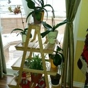 Étagère à plantes