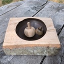 Recherche de la brutitude