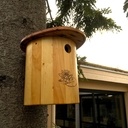 Complexe hôtelier pour zozios, un nichoir et une mangeoire