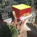 Petit T2 à louer, pour jeune couple de moineaux