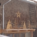 Chute de bois dans les sapins