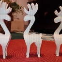 Qui déco de Noël, Renne oblige