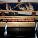 Coffret à baguettes magiques