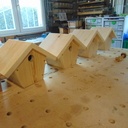 Après les coccinelles...les mésanges !