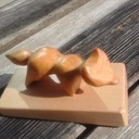 L'ami du Petit Prince