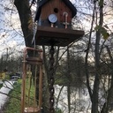 Bird House SteamPunk Mise en place