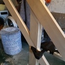 Arche cérémonie laique