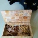 La petite boite en bois de bout