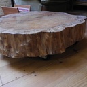 Table basse tronc