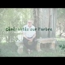 Francis Halle - généralités sur les arbres.