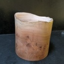 Un pot de platane noueux