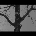 Le travail du bûcheron en 1927