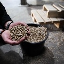 Granulés de bois : une énergie verte controversée