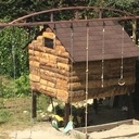 Cabane en bois