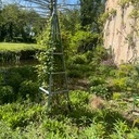 Pyramide support de rosiers ou de clématite