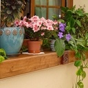 Habillage de fenètre