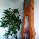 Restauration et transformation d'une comtoise