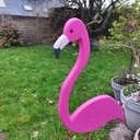 Flamand rose
