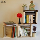 Caisses de rangement pour bibliothèque