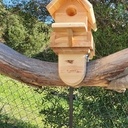 Mangeoire oiseaux en pin