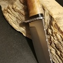 Le platane en fait c'est beau !