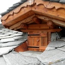 Habillage d'une jacobine