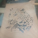 Cadre jaguar illuminé