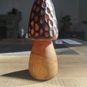 Une "petite" morille