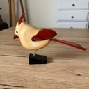 Un cardinal blanc