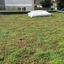 Extension bois à Draveil