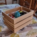 Caisse jouets  du chien