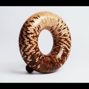 Magnifique démonstration de tournage