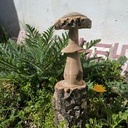 Avis aux amateurs de champignons