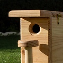 La cabane pour oiseau de 10x20 en pin