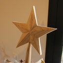 Sapin de Noël sans épines