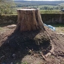 Le trône dominant la vallée.