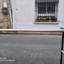 Pagaie groenlandaise