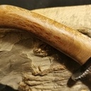 Le platane en fait c'est beau !