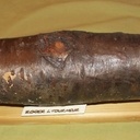 Préparation Noël, bûche surprise