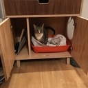 Meuble litière pour chat