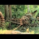 De l'arbre à l'ouvrage