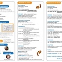 Festival art et passion du bois