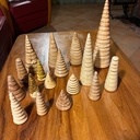 Futaie irrégulière