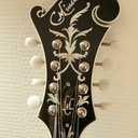 Une Mandoline F5
