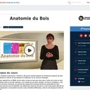 MOOC Anatomie du bois